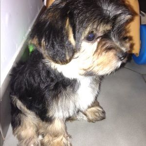 Meet your Posher, Jo ann